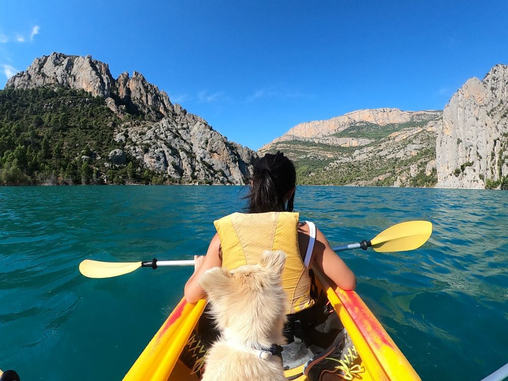 kayak con perro